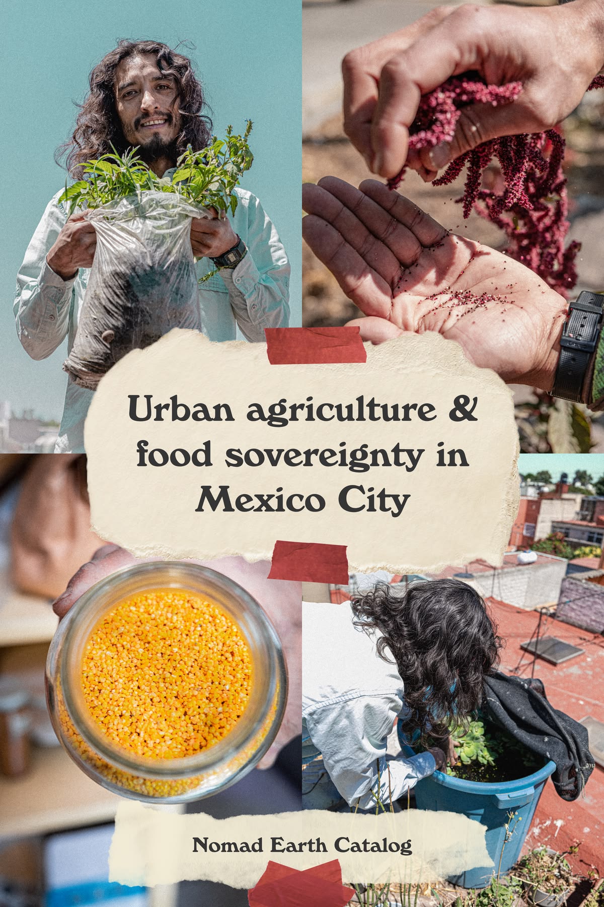 Urban agriculture and food sovereignty in Mexico City